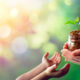 Hands of woman and child is holding coins in glass jar with young plant growing on money - Estate Planning